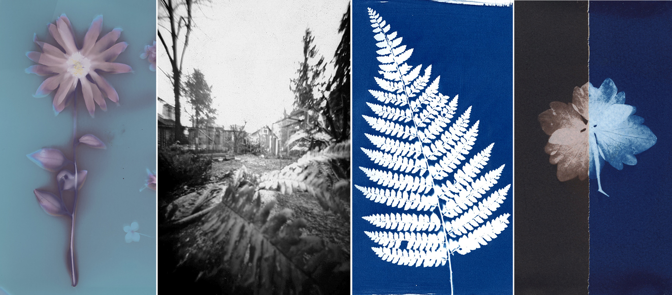 analogue workshops at Beau lumen printing pinhole cameras cyanotype toning