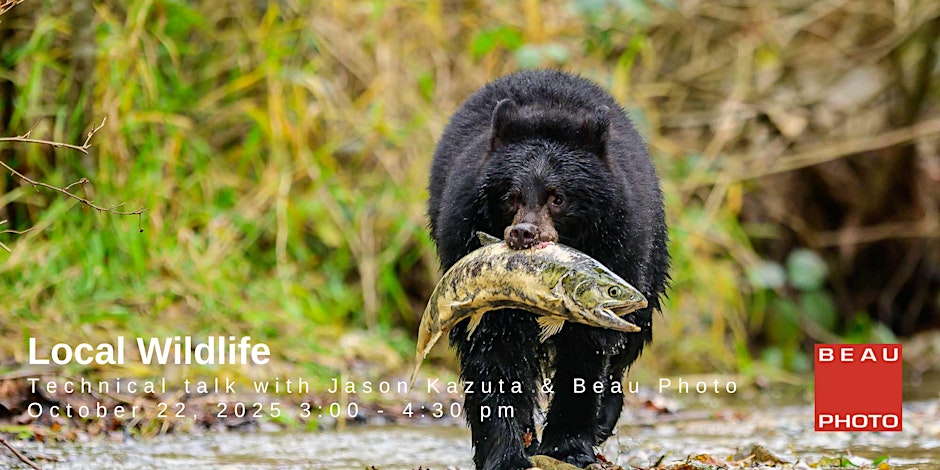 bear with a fish