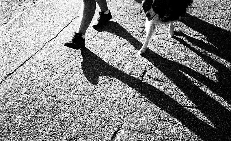 a dog and feet making a shadow on the street