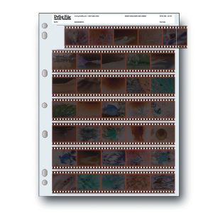 100 Archival Print File 35-7BXW フィルムファイル Print File Archival Negative Sleeves 35-7BXW – Beau Photo