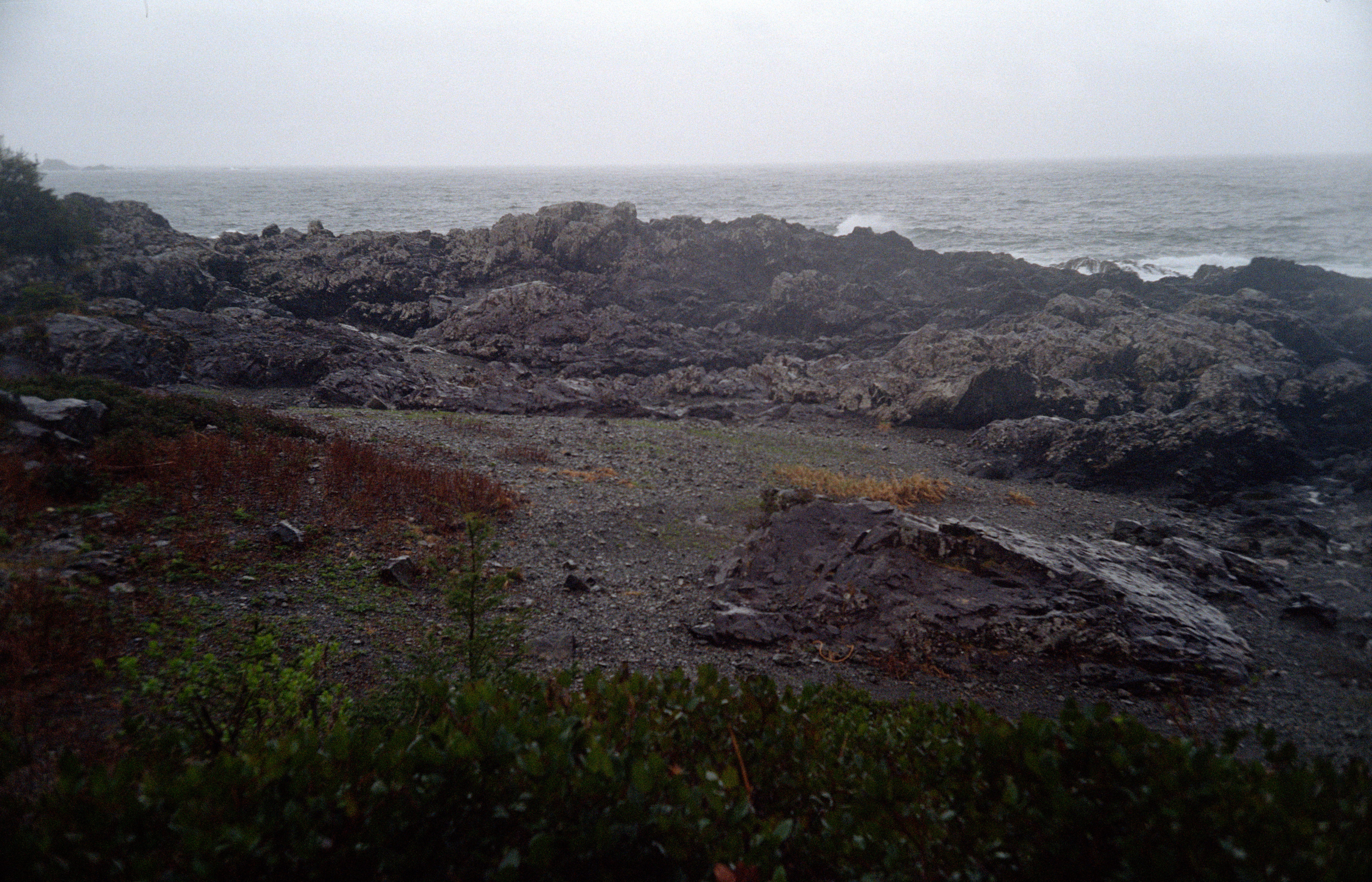 Ucluelet