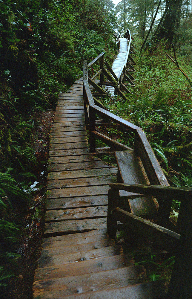 Steps leading down to Florencia Bay.