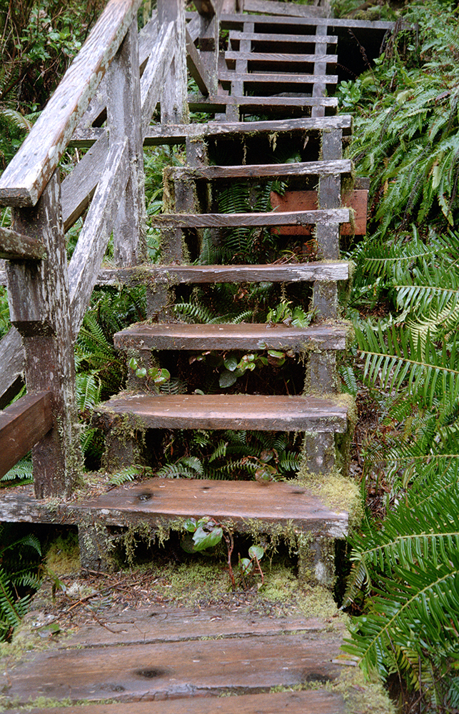 Steps leading up from Half Moon Bay.