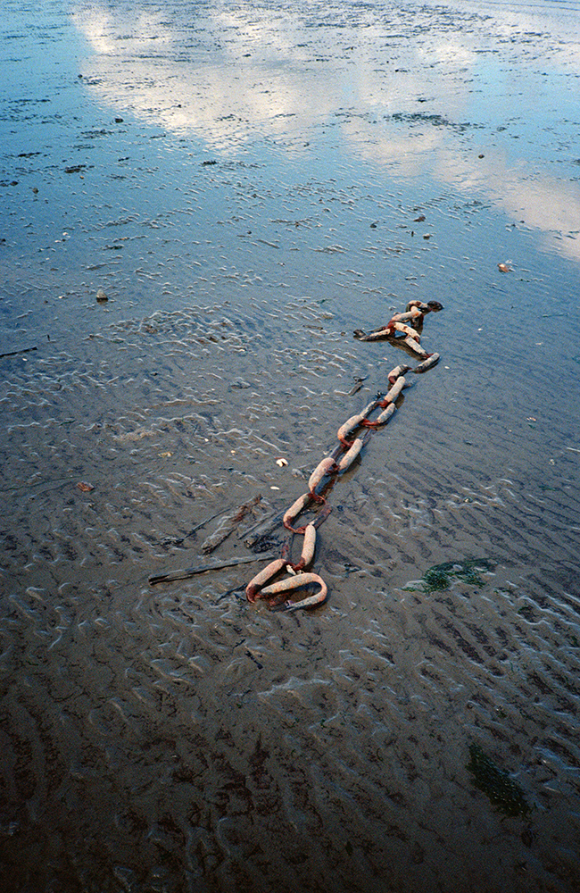 Chain, Jericho Beach.