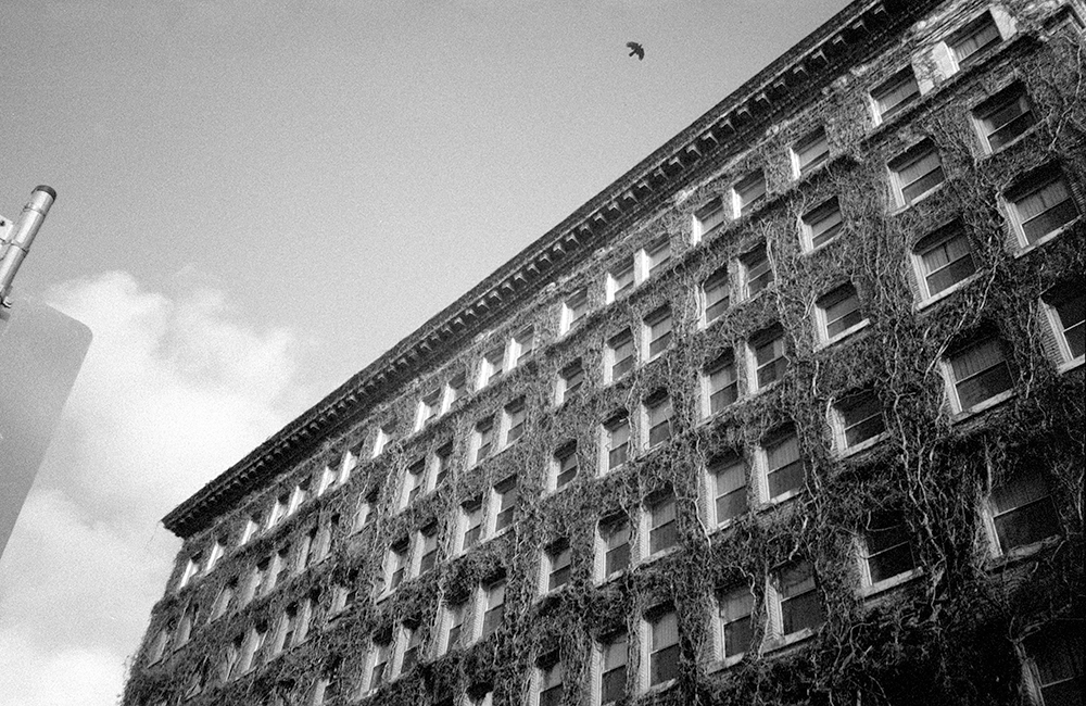 Sylvia Hotel, Vancouver.