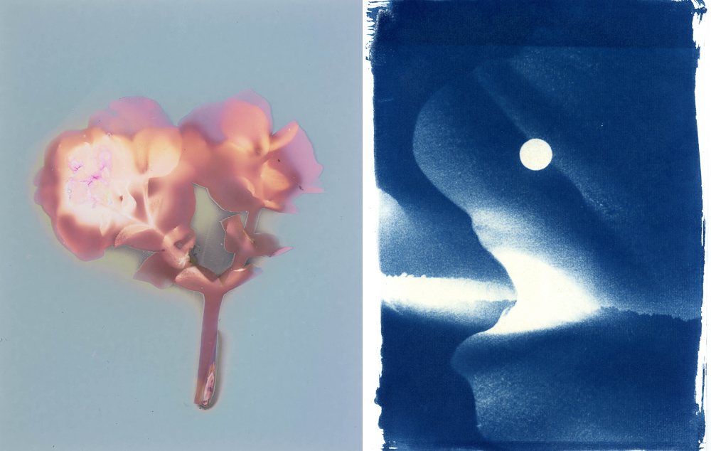 Lumen and cyanotype prints