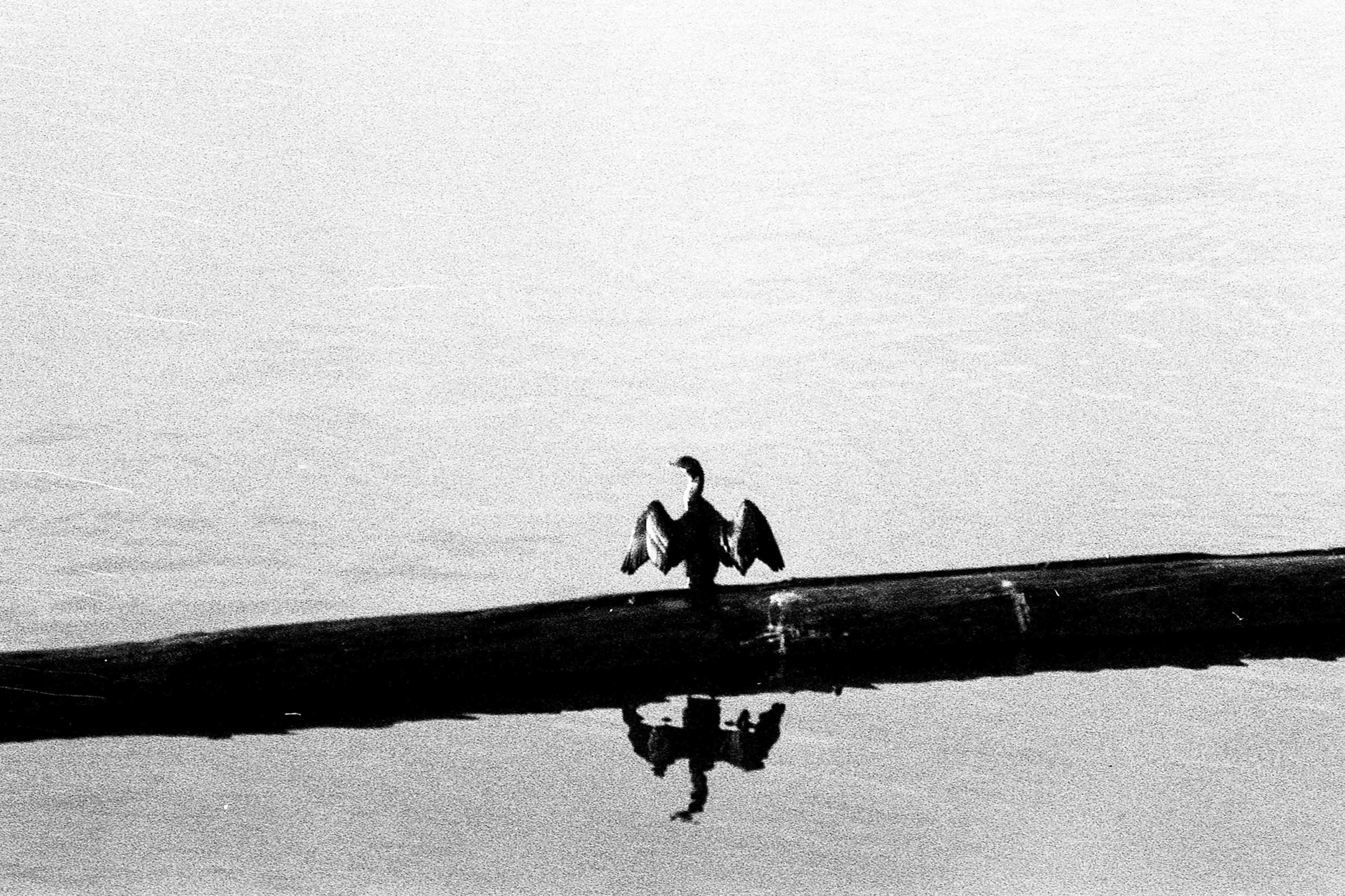 Kentmere 400 pushed 3 stops 