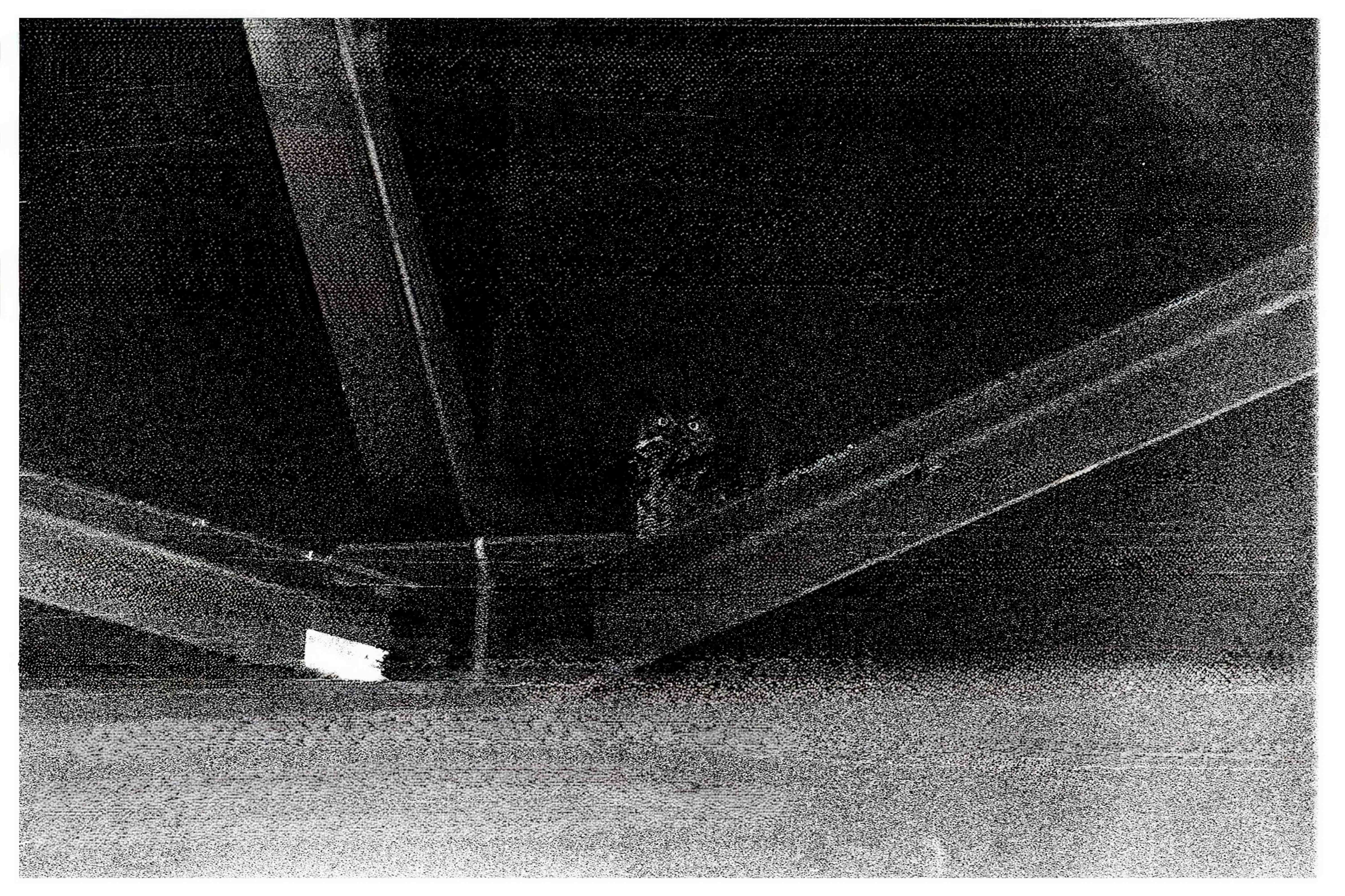 Kentmere 400 pushed 1600