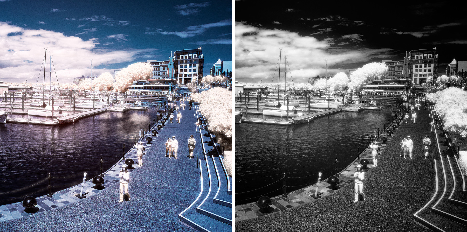 Colour and B&W infrared image pair