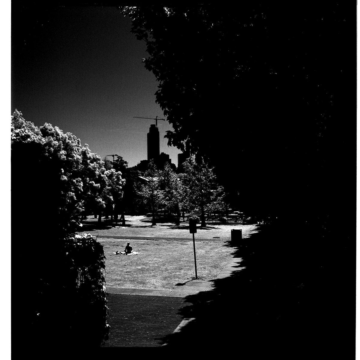 Park Photo taken with Rollei IR 400