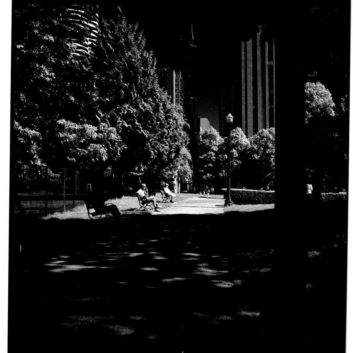 Park Photo taken with Rollei IR 400