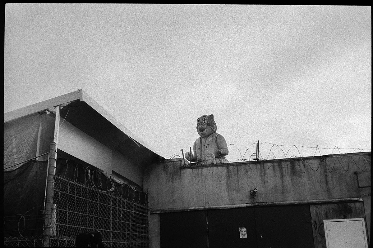 creepy bear