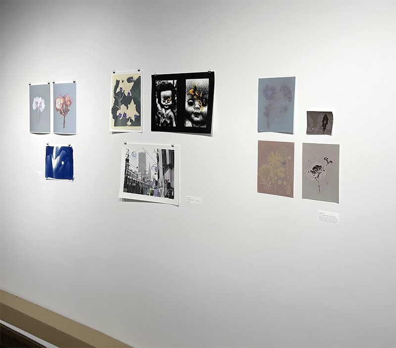 Analogue exhibition images on the wall