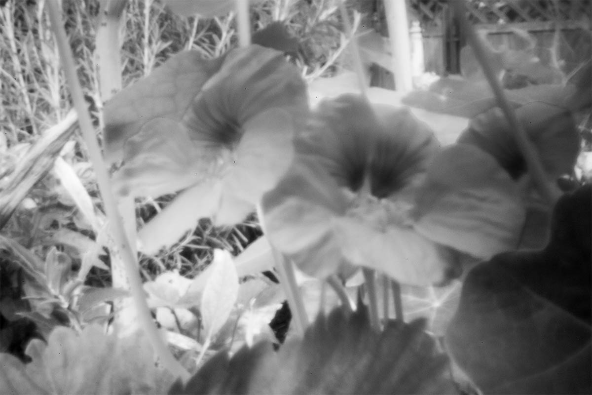 Pinhole image