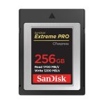 SanDisk 256GB CFexpress Product Shot