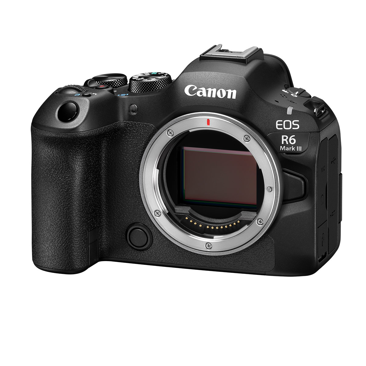Canon EOS R6 Mark III Body