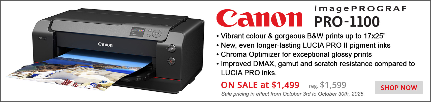 Canon PRO-1100 Ad Banner