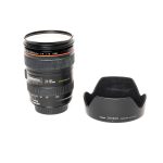 Canon EF 24-105mm f4 L lens