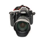 Canon 7D W/Sigma 17-50mm F2.8