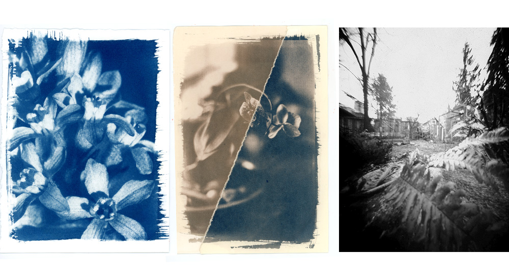 Analogue workshops at Beau Photo